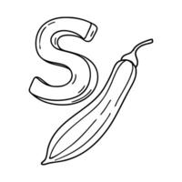 An illustration of letter S stand for Snake gourd vector
