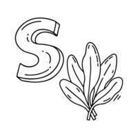 An illustration of letter S stand for Sorrel vector