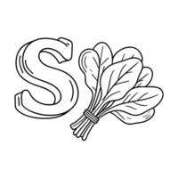 An illustration of letter S stand for Spinach vector