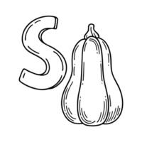 An illustration of letter S stand for Squash vector