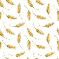Seamless watercolor pattern. Ripe ears of wheat, yellow color, hand-drawn with watercolors. Watercolor illustration. Suitable for printing on fabric, paper, for stationery vector