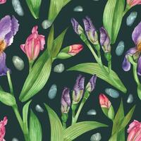 Seamless watercolor pattern. Flowers irises, iris buds, green leaves with dark veins. All objects are hand-drawn with watercolor. Suitable for printing on fabric, paper vector