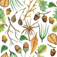Seamless watercolor pattern. Tree branches, nuts, acorns, green leaves, berries, forest plants, all objects are painted with watercolor. For printing on fabric, home textiles vector