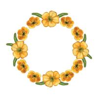 Wreath of flowers, yellow buttercups and green leaves, all objects are hand-drawn in watercolor. Watercolor illustration is perfect for wedding and celebration design, invitations and cards vector