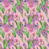 Seamless watercolor pattern with iris flowers on a pink background. Irises, leaves, buds, all objects are hand-drawn with watercolor. Suitable for printing on postcards, invitations vector