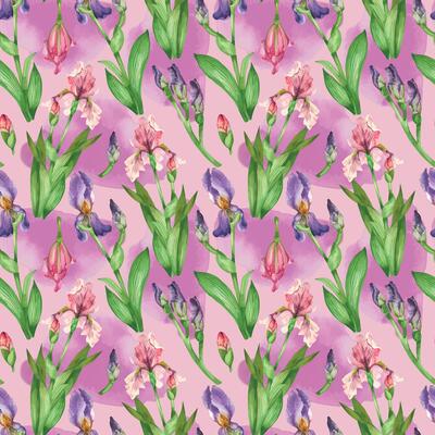 Seamless watercolor pattern with iris flowers on a pink background. Irises, leaves, buds, all objects are hand-drawn with watercolor. Suitable for printing on postcards, invitations