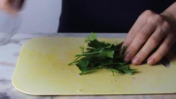 Chef chopping cilantro parsley side view. Fresh herbs video