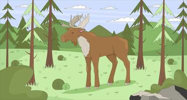 Moose standing in mountain forest clearing flat illustration. Woodland animal surrounded by pine trees, rolling hills. Elk wildlife 2D character cartoon background. Colorful scene art image vector