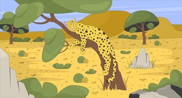 Sleeping leopard on tree in african savanna flat illustration. Wild cat resting. Safari animal nap. Wildlife predator habitat 2D character cartoon background. Colorful scene art image vector