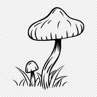 Sketch mushroom. Hand drawn forest mushroom with grass. Mushrooms hand drawn illustration. Mushroom line art , vector