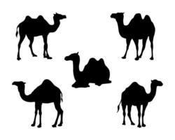 set of camels image silhouette vector