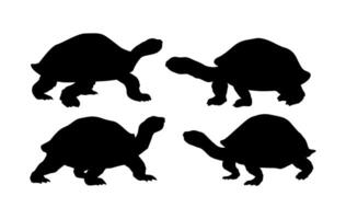 tortoise set collection silhouettes vector
