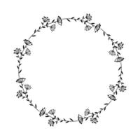 Doodle illustration of isolated circular wreath made of abstract plants, line art on a white background. vector