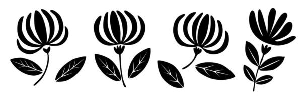 Set of black silhouettes of Honeysuckle flowers vector