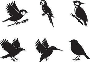 A set of six black silhouette illustrations of different bird species vector