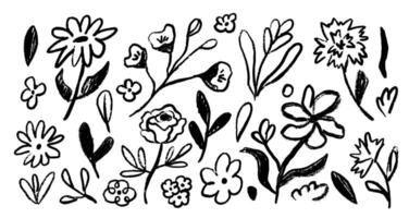 Abstract ink floral botany elements in doodle style. Drawing drawing wild plants and flowers. Hand drawn botanical illustrations. vector