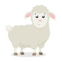 Cute sheep on white background. illustration in flat, cartoon style. vector