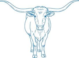 Simple Minimal Hand Drawn Texas Longhorn Cow Front View vector