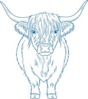 Simple Minimal Hand Drawn Highland Cow Front View vector