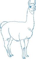 Minimal simple hand drawn llama side view illustration in elegant line art design with modern and graceful aesthetics vector