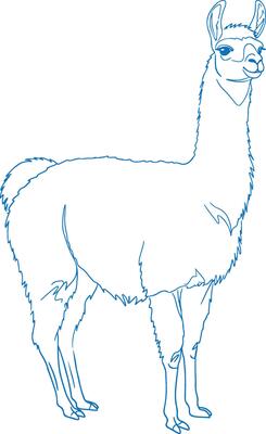 Minimal simple hand drawn llama side view illustration in elegant line art design with modern and graceful aesthetics