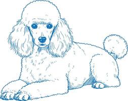 Adorable Poodle Dog Illustration Featuring Playful Pose and Expressive Features Perfect for Pet Lovers and Animal Enthusiasts Digital Art of a Poodle with Detailed Fur and Friendly Expression vector