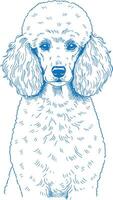 Playful Poodle Dog Illustration with Soft Fur and Bright Expression, Perfect for Dog-Themed Art and Pet Product Designs vector