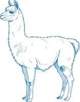 Clean minimal side look hand drawn llama illustration in elegant monoline style perfect for modern decor and design vector