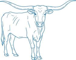 Simple Minimal Hand Drawn Texas Longhorn Cow Side View vector