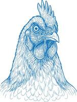 Elegant hand drawn chicken artwork featuring detailed feathers and rustic charm ideal for farmhouse prints country decor organic farm projects and rural branding illustrations vector
