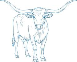 Minimal Hand Drawn Texas Longhorn Cow Front View vector