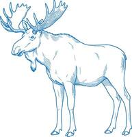 Simple minimal hand drawn moose illustration featuring side view with elegant line art and modern wildlife design elements vector
