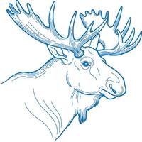 Hand drawn minimal moose head illustration in clean line style featuring elegant monoline details and modern aesthetics vector