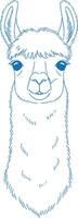 Minimal hand drawn headshot illustration of a llama in clean style with modern simple line drawing aesthetics vector