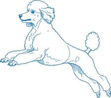 Art of a Poodle Dog in Playful Stance, Featuring Detailed Fur and Cheerful Expression, Perfect for Pet Illustrations and Merchandise vector
