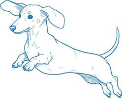 Hand drawn vintage style dachshund dog illustration realistic sketch of short legged sausage dog cute loyal pet artwork retro engraved design isolated on white background detailed hound breed vector