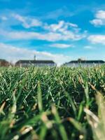 A close up of a green field with a blue sky photo