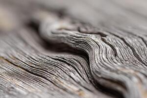 Close up of a piece of wood with wavy lines photo