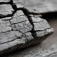 Close-up of rustic cracked wood with rich textures photo