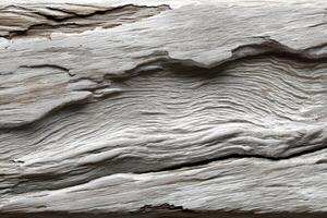 Textured rustic wood displaying natural patterns and grains photo