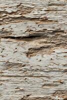 Rustic wood texture with weathered surface details photo
