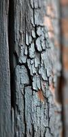 Weathered rustic wood texture and colors photo