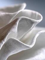 Intricate folds of white fabric create a soft texture and elegance photo