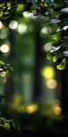 Photograph green forest by julianne klopfenstein on 500px photo