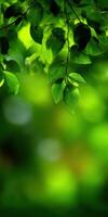 Vibrant green leaves dance in the gentle breeze of a sunlit forest photo
