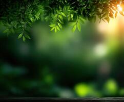 Green leaves and sun light on a wooden table photo