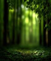 Lush green forest path inviting exploration and tranquility in nature photo