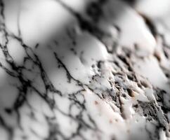 A close up of a marble surface with some black and white spots photo