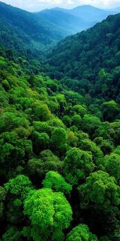 Verdant forest landscape revealing lush green valleys photo