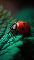 Close-up view of a ladybug on green foliage photo